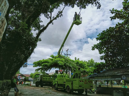 PEMANGKASAN DAHAN POHON