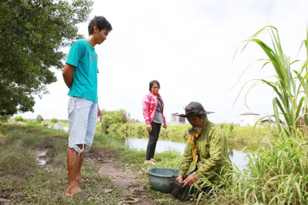 JUAL IKAN
