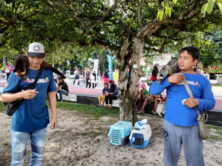 PENCINTA HEWAN MUSANG