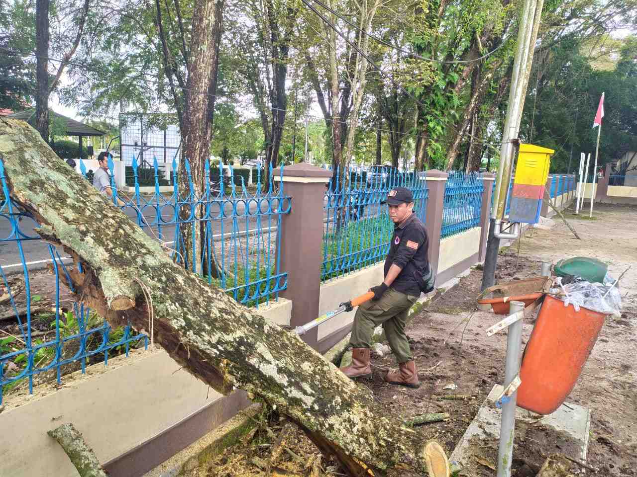 POTONG POHON TUMBANG