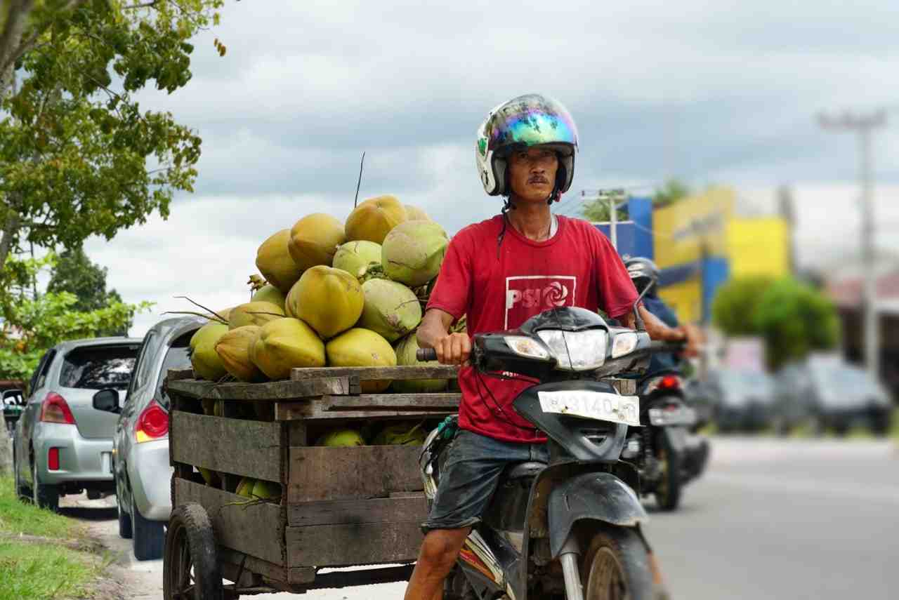PENJUAL KELAPA MUDA