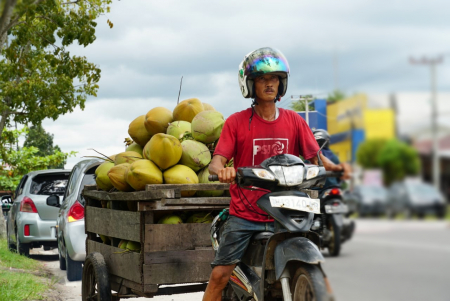 PENJUAL KELAPA MUDA