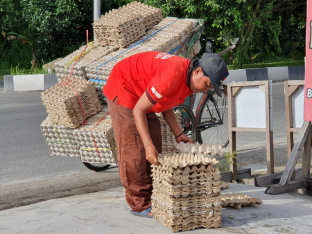 KUMPULKAN TABAK TELOR BEKAS