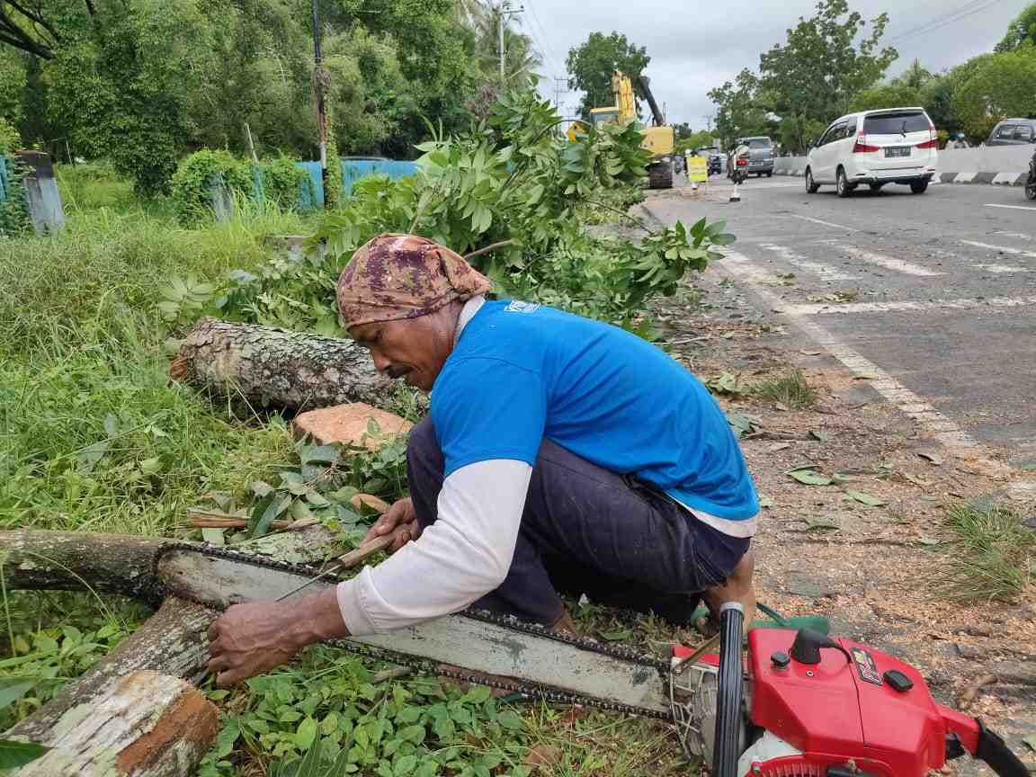 PERTAJAM MATA GERGAJI MESIN CHAINSAW