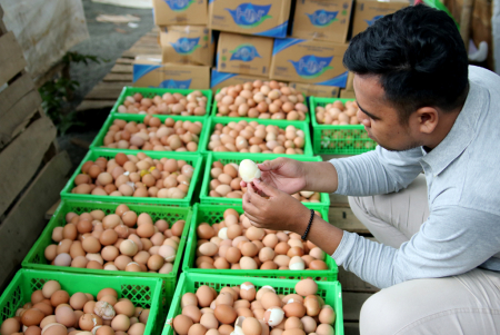 PEMERIKSAAN KESEHATAN MAKANAN JAMAAH HAUL