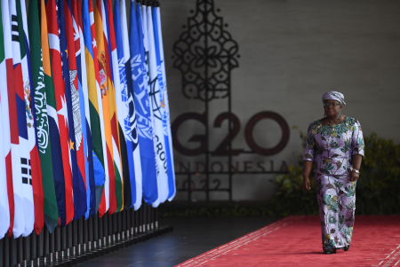 PRESIDEN JOKOWI SAMBUT DIRJEN WTO