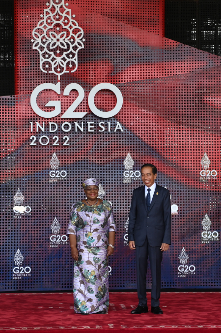 PRESIDEN JOKOWI SAMBUT DIRJEN WTO