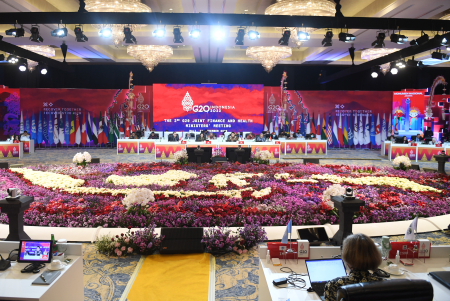 JOINT HEALTH AND FINANCE MINISTERIAL MEETING