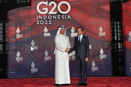 PRESIDEN JOKOWI SAMBUT PRESIDEN UNI EMIRAT ARAB