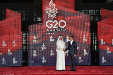PRESIDEN JOKOWI SAMBUT PRESIDEN UNI EMIRAT ARAB