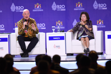 SESI PLENO XII B20 SUMMIT 