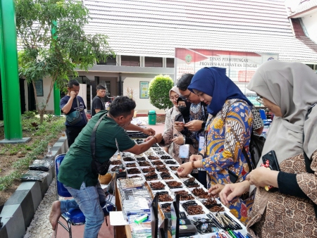 COBA GELANG KAYU KOKKA
