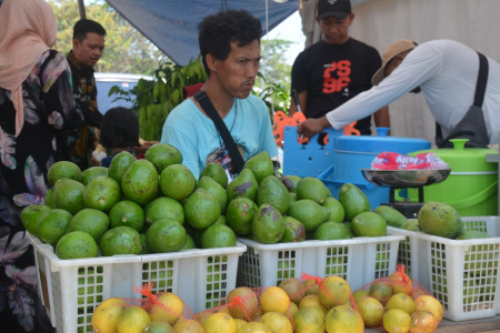JUAL BUAH ALPUKAT