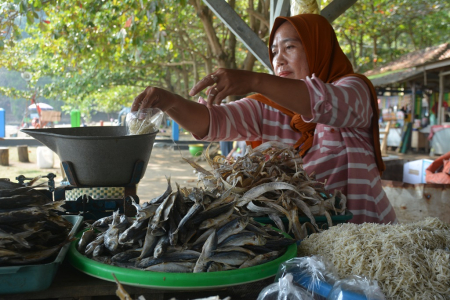 JUAL IKAN ASIN