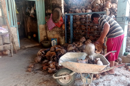 ANGKUT SABUT KELAPA