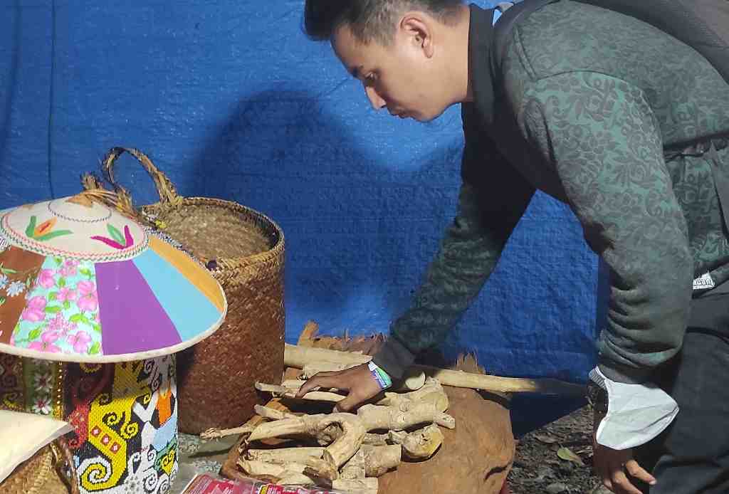 BONGGOL PASAK BUMI