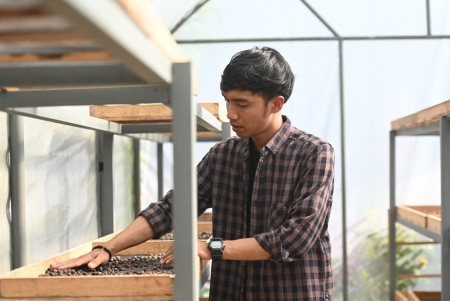 MENFERMENTASI BIJI KOPI