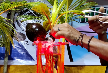 HIASAN BONSAI KELAPA