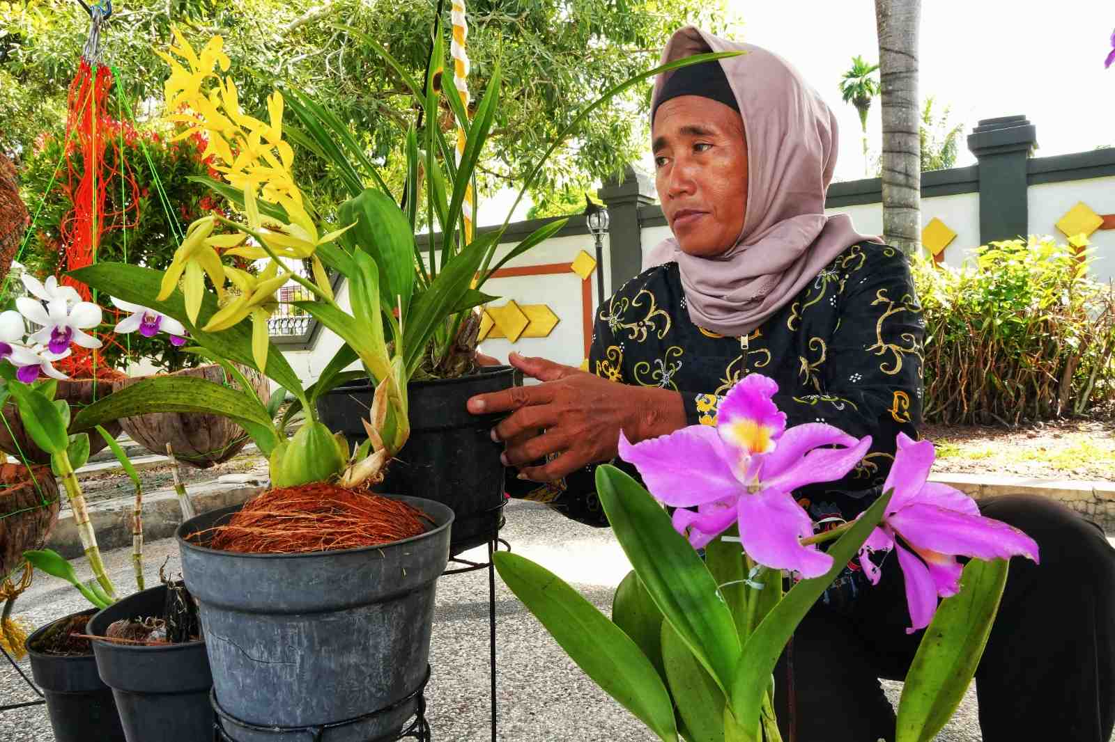 SUSUN BUNGA ANGGREK
