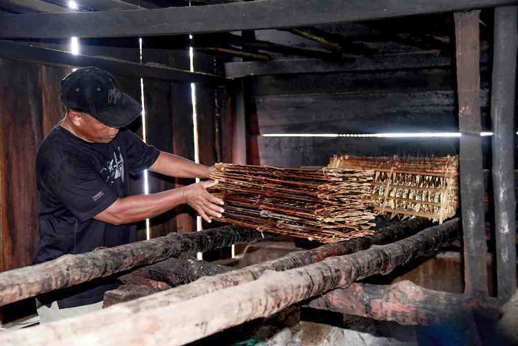 IKAN SAGELA GORONTALO