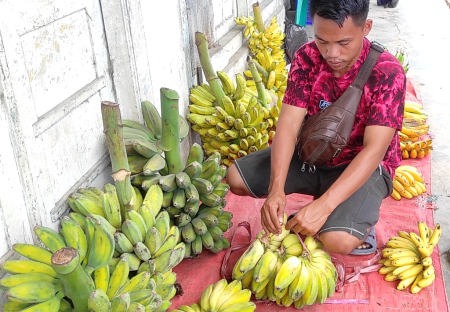 IKAT PISANG PAGATA
