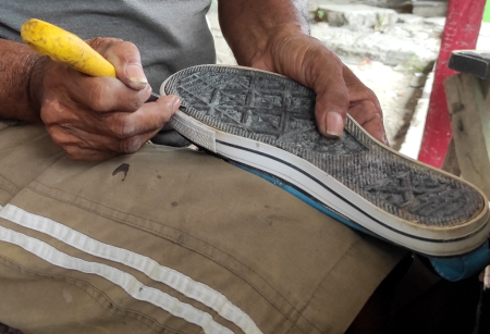 IRIS TAPAK SEPATU