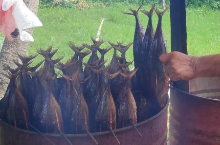 KEUNTUNGAN PENJUALAN IKAN FUFU