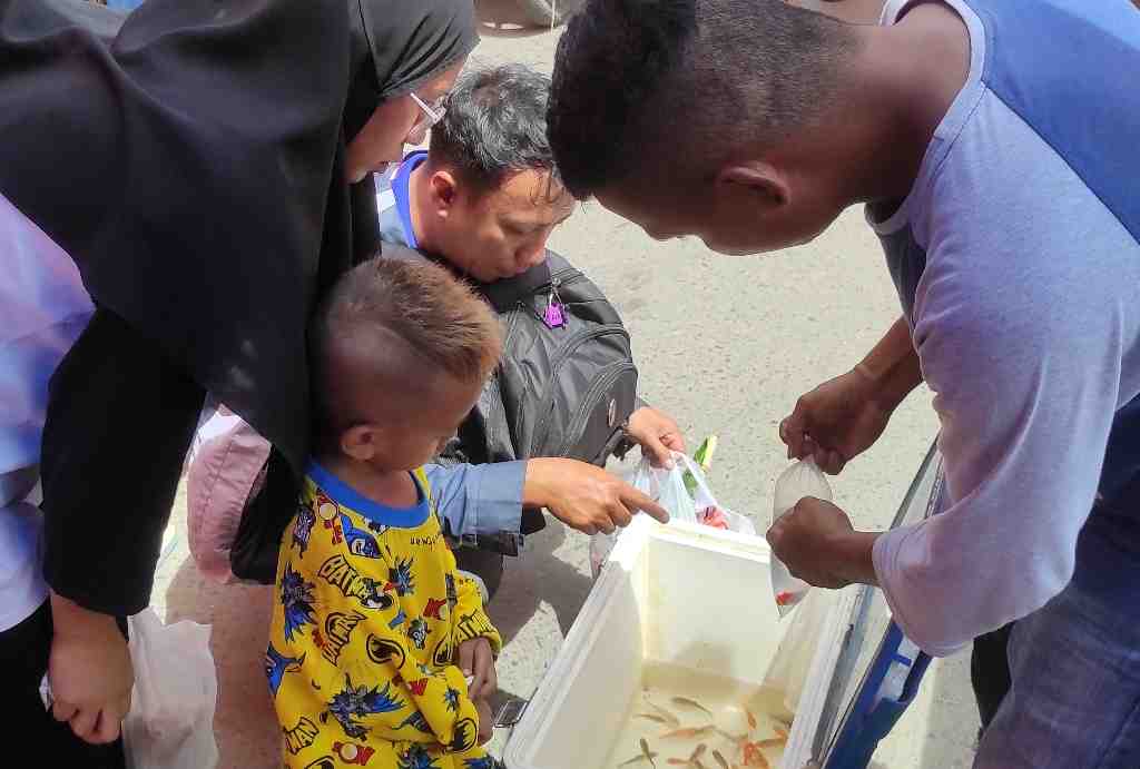 MELAYANI PEMBELI IKAN HIAS