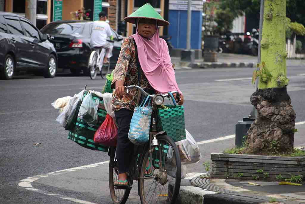 PENJUAL SAYUR KELILING