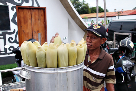 PILIH JAGUNG REBUS