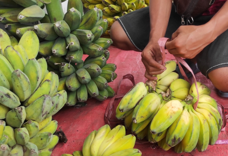 PENDAPATAN PENJUAL PISANG
