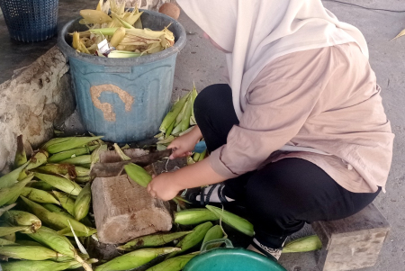 POTONG PANGKAL JAGUNG