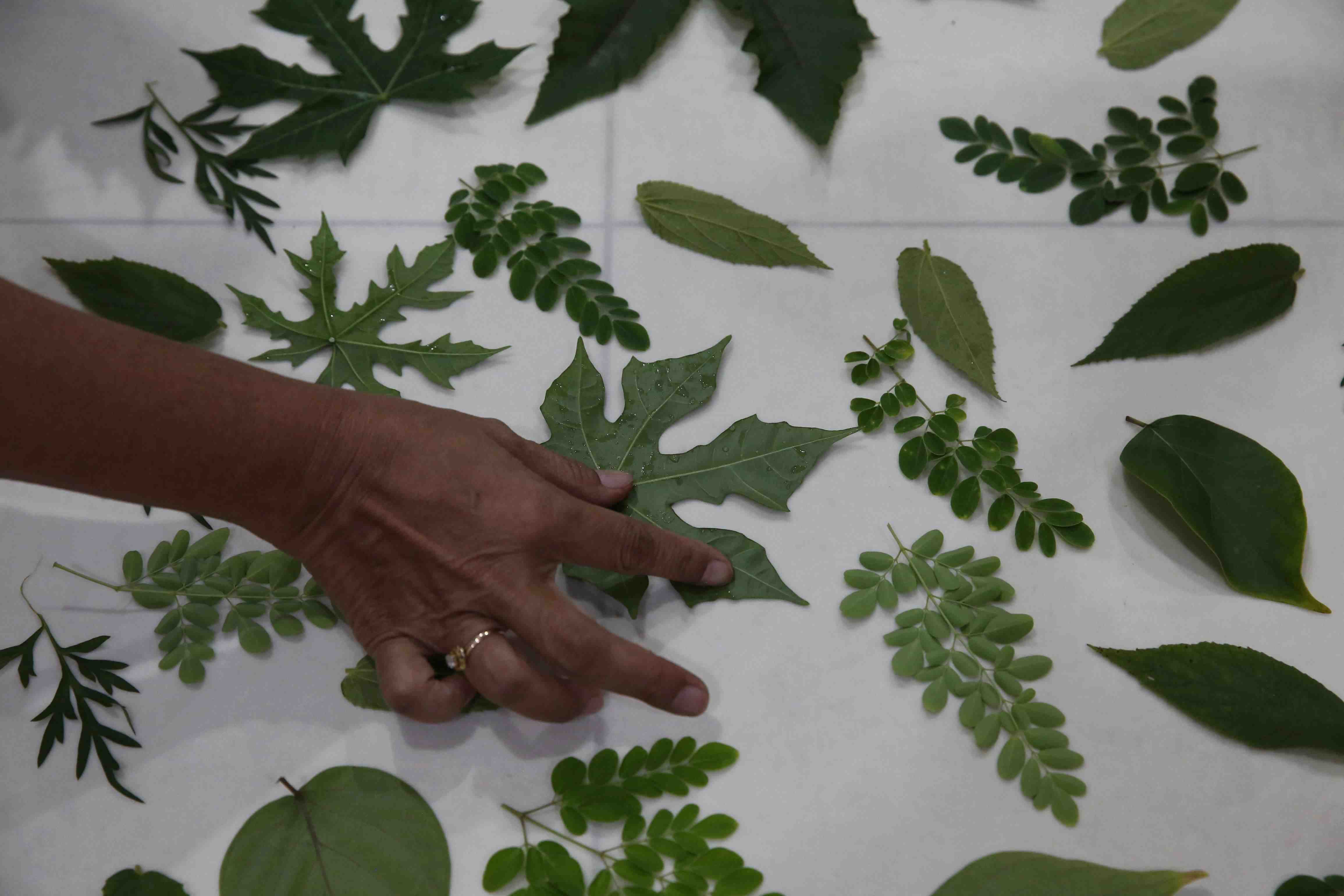 KERAJINAN ECOPRINT