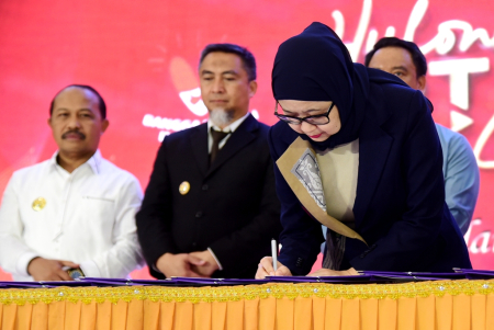 PROGRAM PELATIHAN UMKM