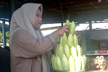 SUSUN JAGUNG PULUT