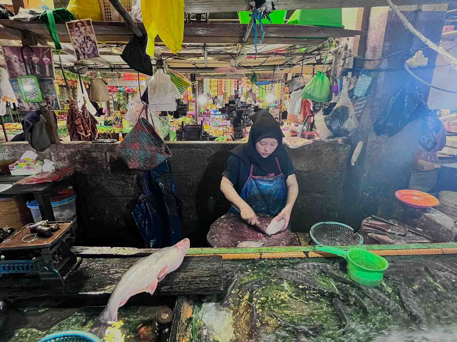 BERSIHKAN SISIK IKAN 