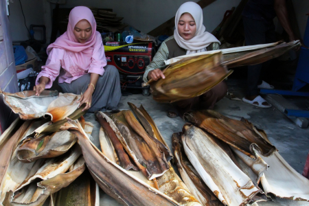 PRODUKSI PIRING DARI LIMBAH PELEPAH PINANG