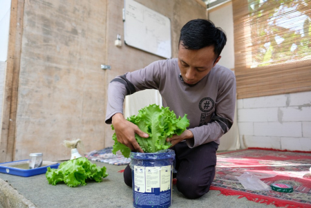 MENGEMAS SELADA