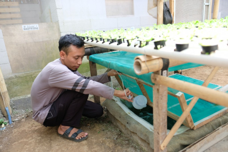 MENANAM SECARA HYDROPONIC