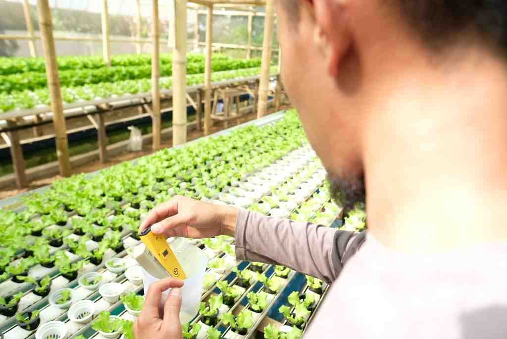 PERIKSA KADAR NUTRISI AIR