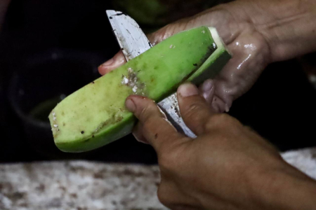 KUPAS KULIT PISANG