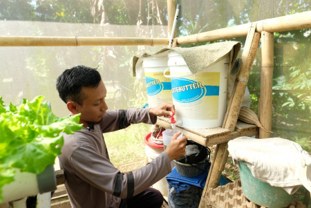 MENANAM SECARA HIDROPONIC