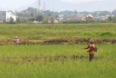 MEMANCING IKAN