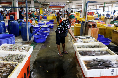 AKTIVITAS PASAR IKAN di MUARA BARU