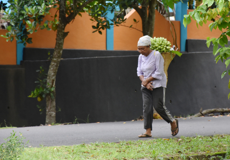 BAWA HASIL KEBUN