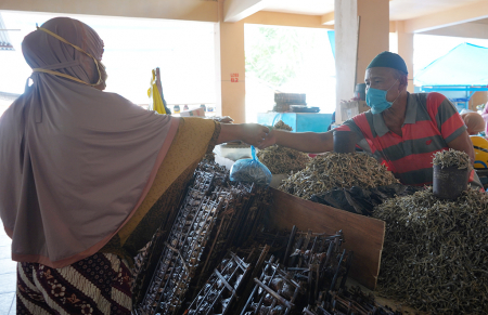 JUAL IKAN TERI