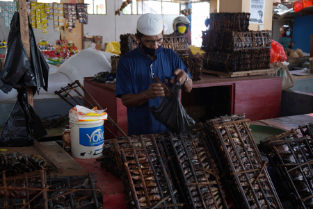 PENJUAL IKAN GALAFEA