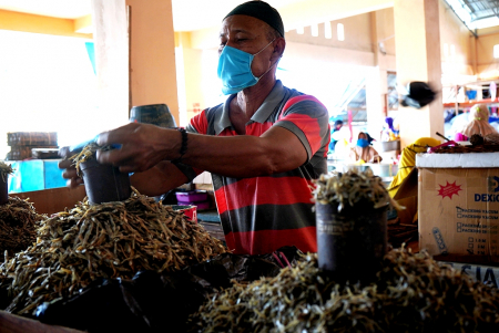 HARGA IKAN TERI NAIK