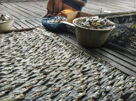 JEMUR IKAN ASIN 
