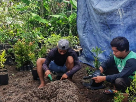 PEMBIBITAN TANAMAN HIAS